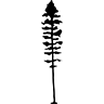 Postai Skin Care logo
